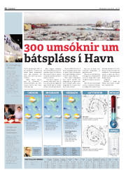 Síða 32