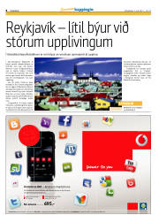 Síða 8