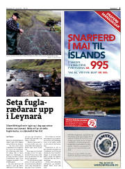 Síða 5