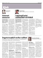 Síða 17