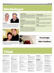 Síða 31