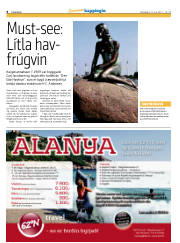 Síða 6