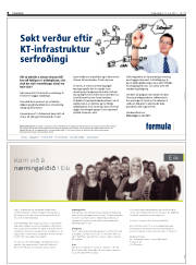 Síða 8