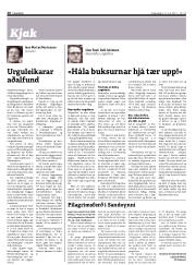 Síða 16