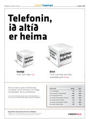 Síða 13