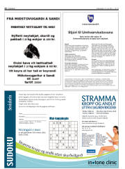 Síða 22