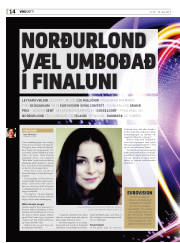 Síða 14