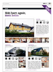 Síða 19