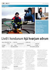 Síða 10