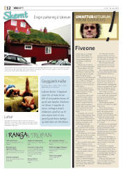 Síða 12