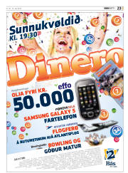 Síða 23