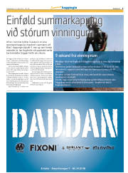 Síða 3