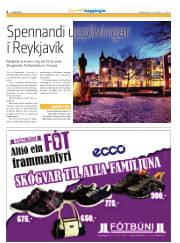 Síða 6