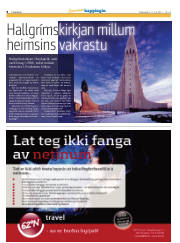 Síða 8