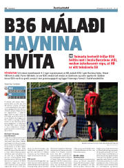 Síða 14