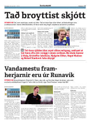 Síða 17