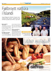 Síða 12