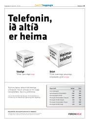 Síða 13