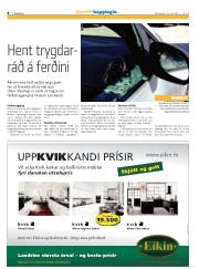 Síða 8