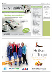Síða 28