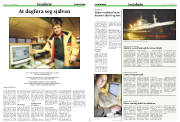 Síða 11