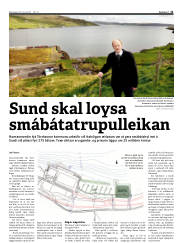 Síða 11