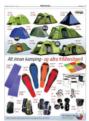 Síða 3