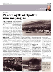 Síða 19