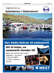 Síða 7