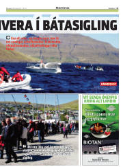 Síða 11