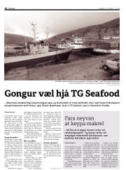 Síða 10