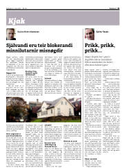 Síða 11