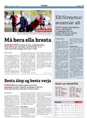 Síða 17