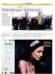 Síða 8