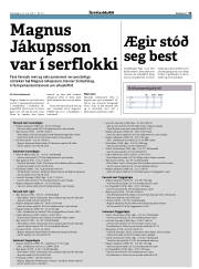 Síða 13