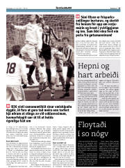Síða 17