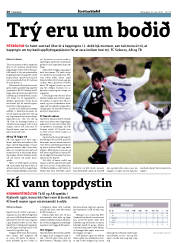 Síða 20