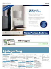 Síða 29