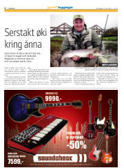 Síða 6