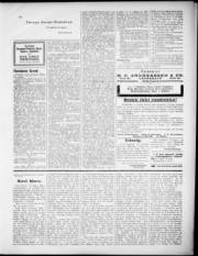 Síða 3