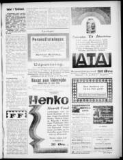 Síða 3