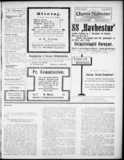Síða 3