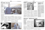 Síða 4