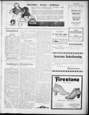 Síða 3