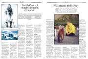 Síða 17