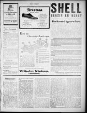 Síða 3