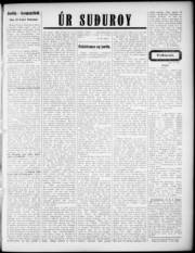 Síða 3