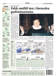 Síða 17