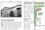 Síða 4