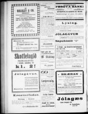 Síða 3